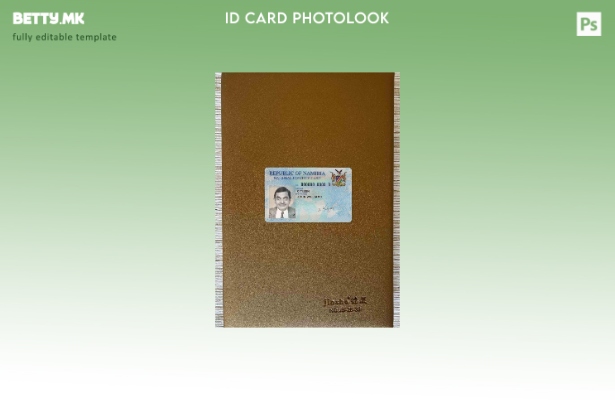 модерен стил Namibia ID photolook FRONT шаблон